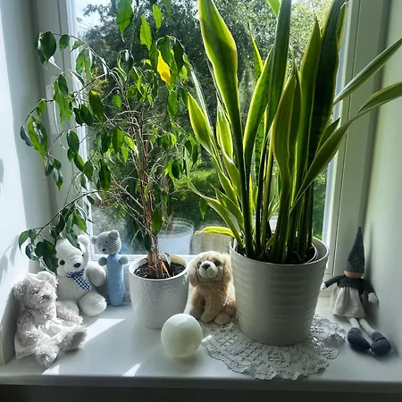 3br Family With Huge Garden&free Parking Puhkemaja Tallinn